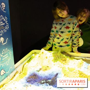 Aquarium Sea Life - IMG 8373