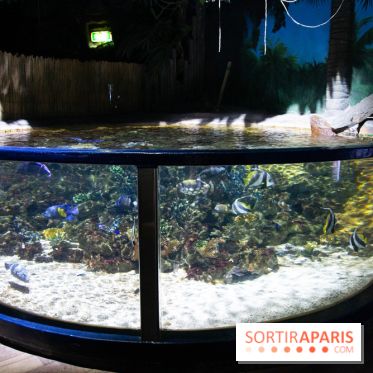 Aquarium Sea Life - IMG 8374