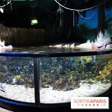 Aquarium Sea Life - IMG 8375