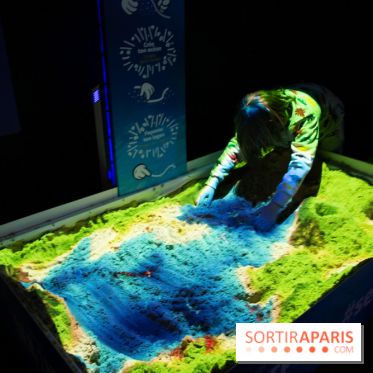 Aquarium Sea Life - IMG 8361