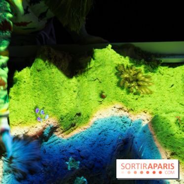 Aquarium Sea Life - IMG 8366