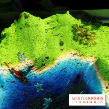 Aquarium Sea Life - IMG 8367