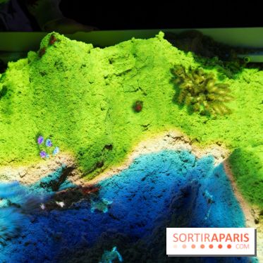 Aquarium Sea Life - IMG 8368