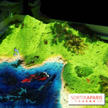 Aquarium Sea Life - IMG 8369