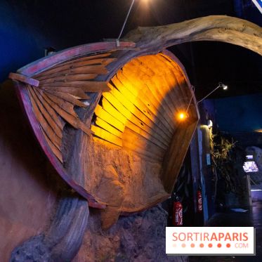 Aquarium Sea Life - IMG 8348