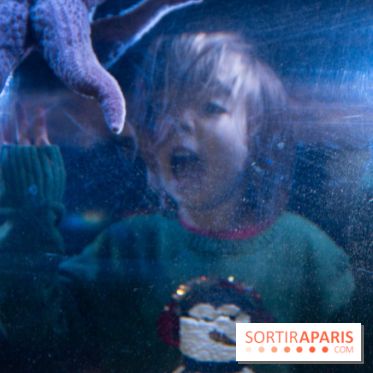 Aquarium Sea Life - IMG 8341