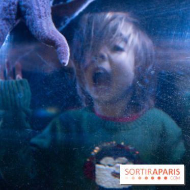 Aquarium Sea Life - IMG 8342