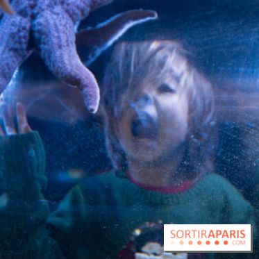 Aquarium Sea Life - IMG 8343