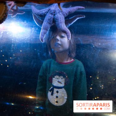 Aquarium Sea Life - IMG 8335