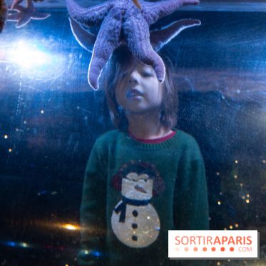 Aquarium Sea Life - IMG 8336