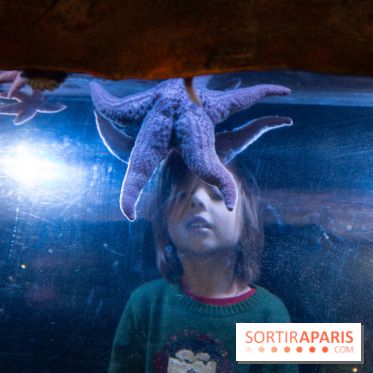 Aquarium Sea Life - IMG 8337