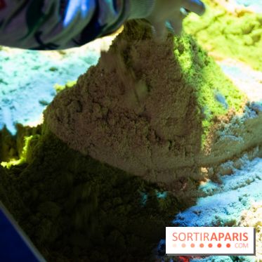 Aquarium Sea Life - IMG 8305