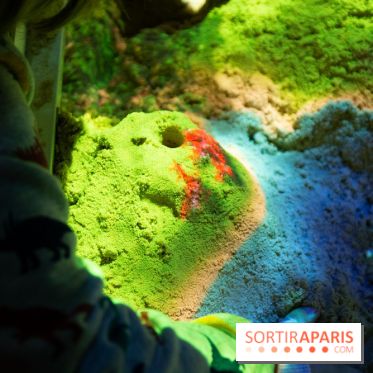 Aquarium Sea Life - IMG 8322