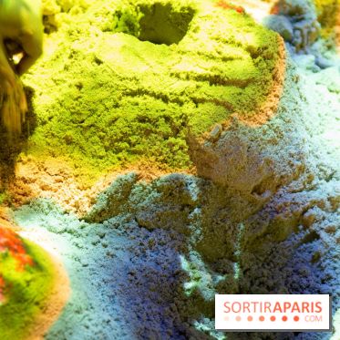 Aquarium Sea Life - IMG 8323