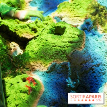 Aquarium Sea Life - IMG 8324