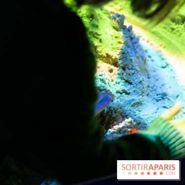 Aquarium Sea Life - IMG 8302