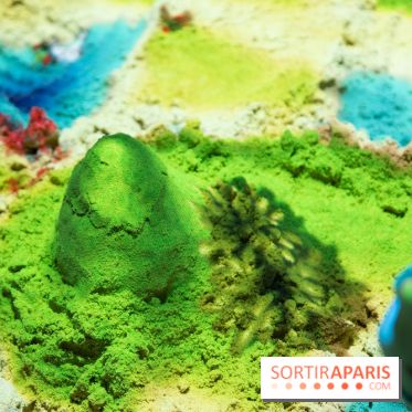 Aquarium Sea Life - IMG 8303