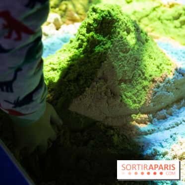 Aquarium Sea Life - IMG 8304