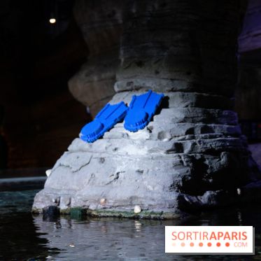 Aquarium Sea Life - IMG 8288