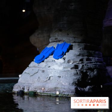 Aquarium Sea Life - IMG 8289