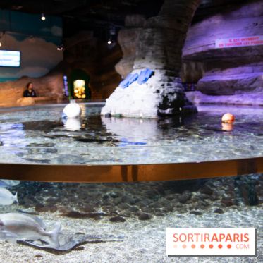 Aquarium Sea Life - IMG 8290