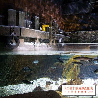 Aquarium Sea Life - IMG 8293