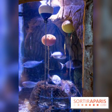 Aquarium Sea Life - IMG 8280