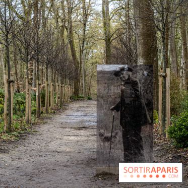 Château et atelier Rosa Bonheur à Thomery - photos -  A7C8056