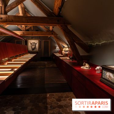 Château et atelier Rosa Bonheur à Thomery - photos -  A7C8080