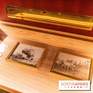 Château et atelier Rosa Bonheur à Thomery - photos -  A7C8083