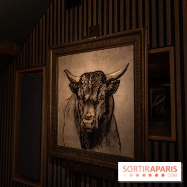 Château et atelier Rosa Bonheur à Thomery - photos -  A7C8085