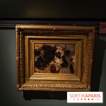 Château et atelier Rosa Bonheur à Thomery - photos -  A7C8089