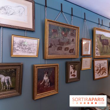 Château et atelier Rosa Bonheur à Thomery - photos