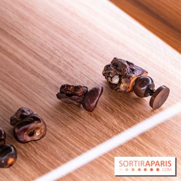 Château et atelier Rosa Bonheur à Thomery - photos -  A7C8097