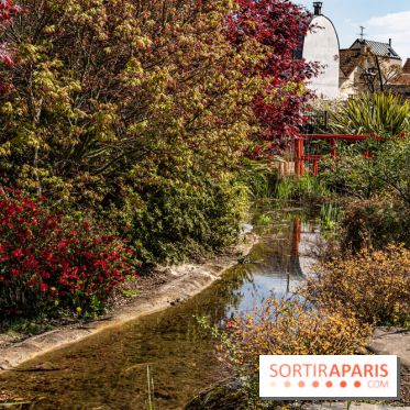 Square Médéric Colombes - jardin japonais 92 -  A7C9982