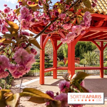 Square Médéric Colombes - jardin japonais 92 -  A7C9962