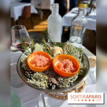 Alice Arnoux au Perchoir Ménilmontant - Pomelo et araignée