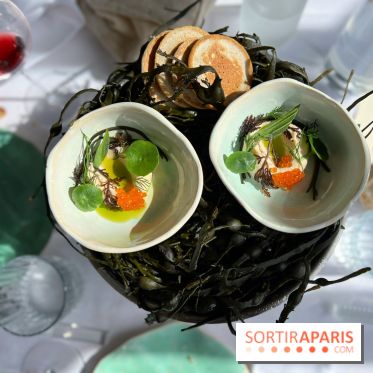 Alice Arnoux au Perchoir Ménilmontant - Tarama