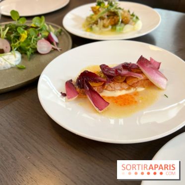 Cèna - Truite et endives