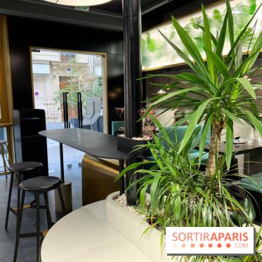 Tea Space - Décoration