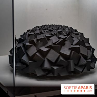 Paradox Museum Paris - les photos -  A7C0701