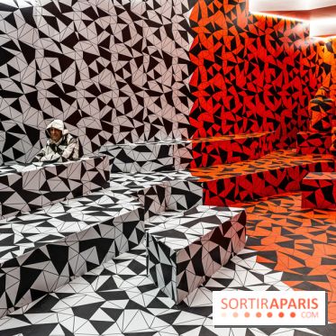 Paradox Museum Paris - les photos -  A7C0733