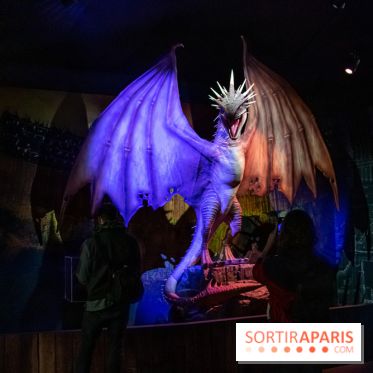 Harry Potter l'exposition dragon
