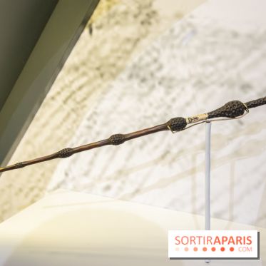 Harry Potter l'exposition baguette de sureau