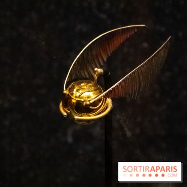Harry Potter l'exposition vif d'or quidditch
