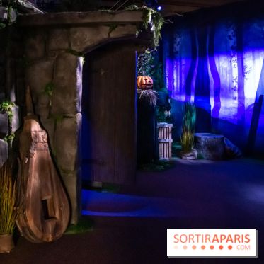 Harry Potter l'exposition cabane de hagrid