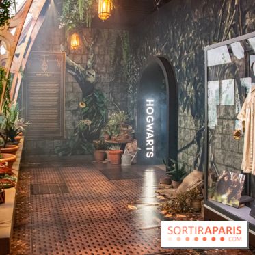 Harry Potter l'exposition cours de botanique