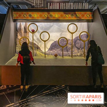Harry Potter l'exposition quidditch