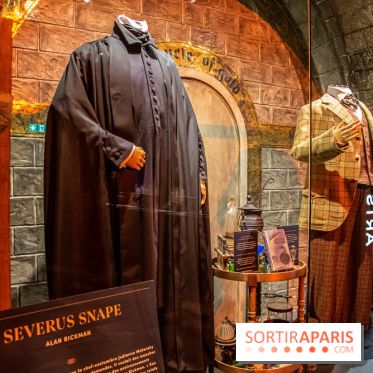 Harry Potter l'exposition cours de potions