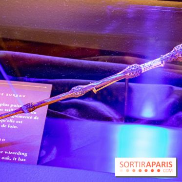 Harry Potter l'exposition baguette de sureau